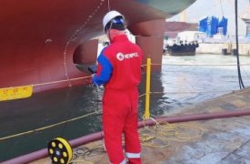 Разработка Hempel