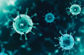 Рынок антимикробных покрытий