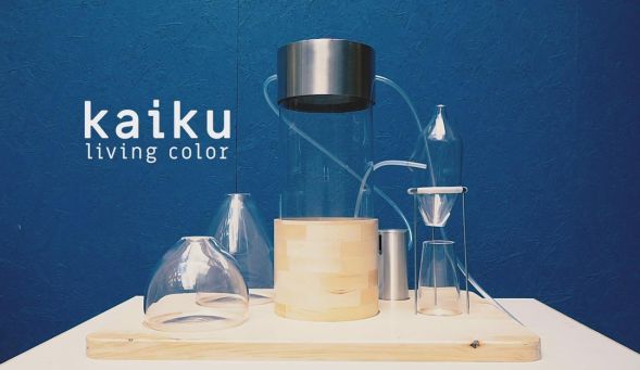 Студент превращает растительные отходы в пигменты