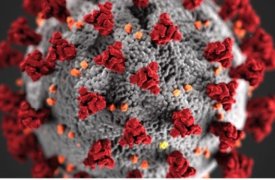 Влияние коронавируса на лакокрасочную промышленность