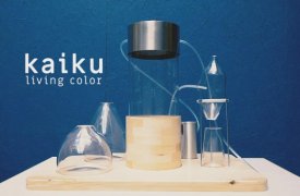 Студент превращает растительные отходы в пигменты