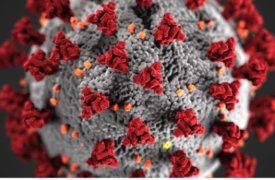 Антивирусное поверхностное покрытие для предотвращения распространения нового коронавируса (COVID-19) через сенсорный ввод