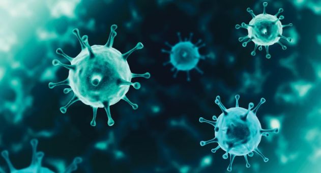 Рынок антимикробных покрытий