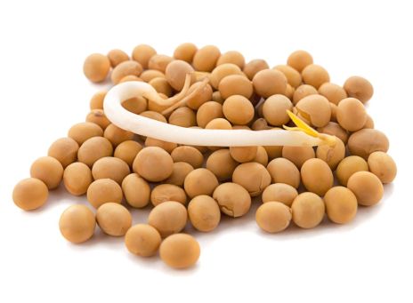 УФ-отверждаемое покрытие на основе соевого масла