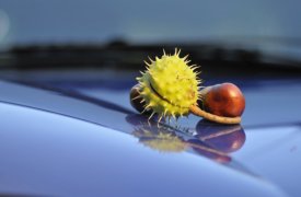 Влияние нанокремнезема и полиэтиленового воска на стойкость к царапинам полиуретановых покрытий