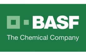 Тенденции дизайна